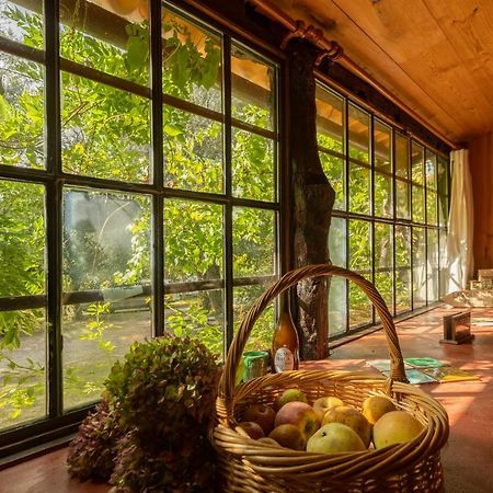 塞洛里库迪巴什图 Chale Da Quinta "Lavoura Da Bouca - Fruta Bio"旅馆 外观 照片