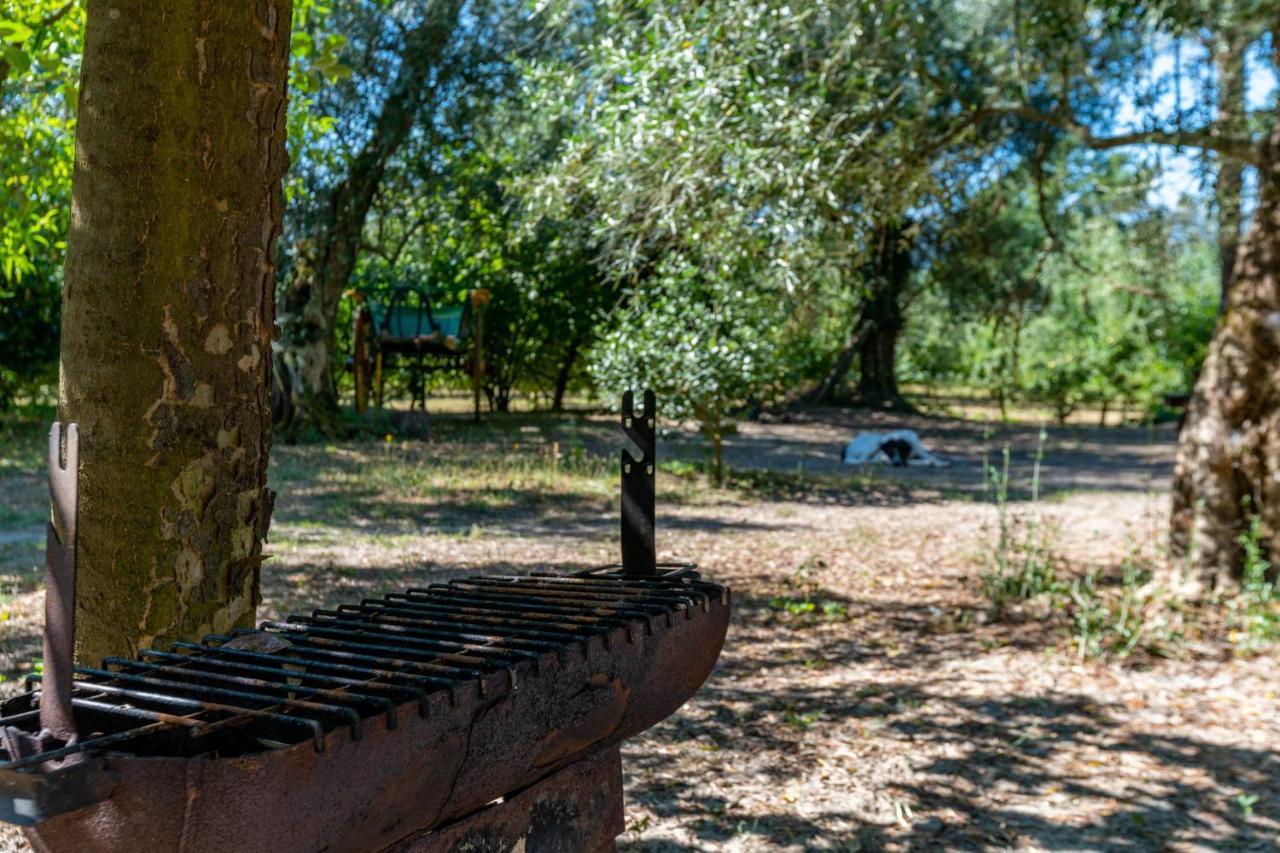 塞洛里库迪巴什图 Chale Da Quinta "Lavoura Da Bouca - Fruta Bio"旅馆 外观 照片