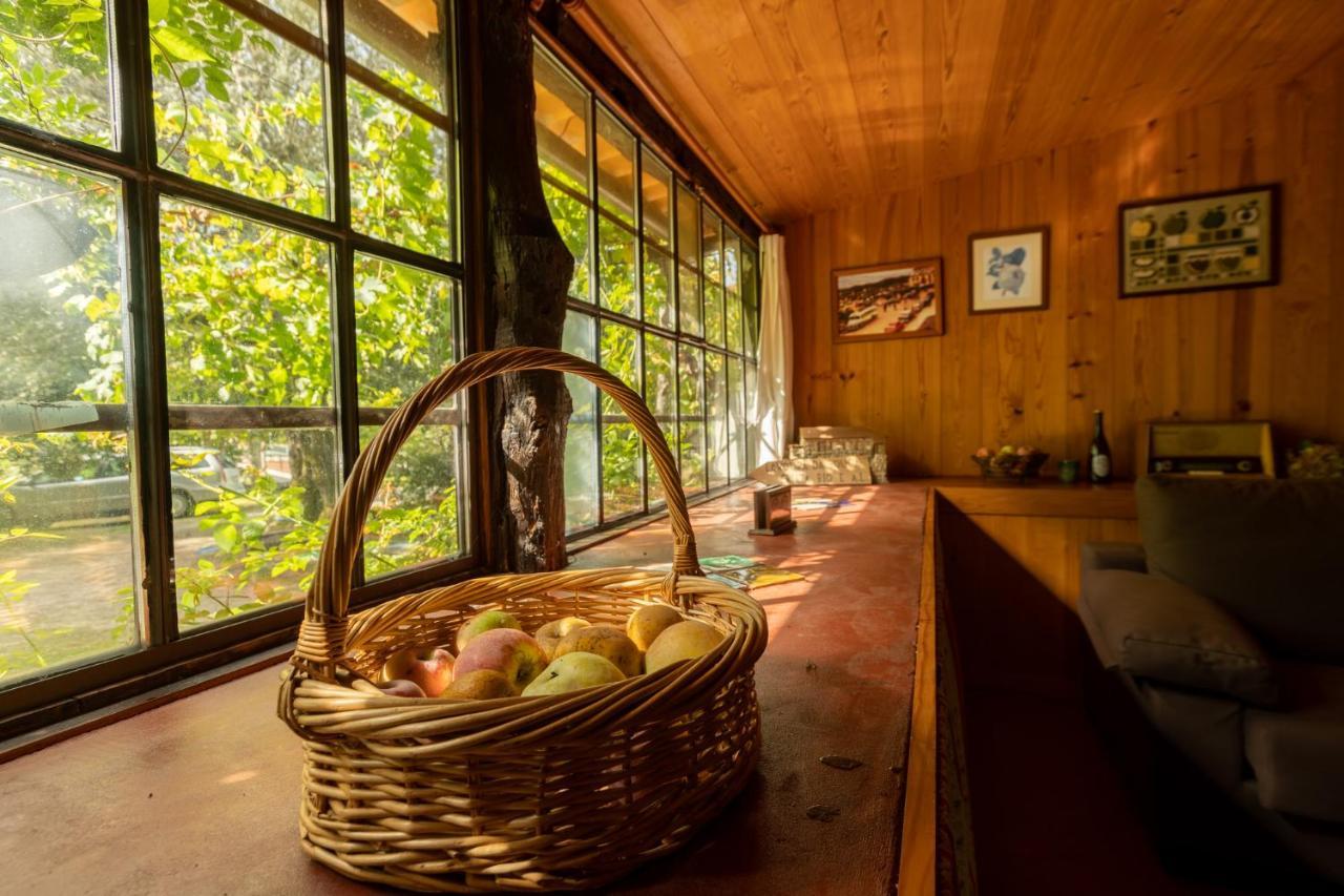 塞洛里库迪巴什图 Chale Da Quinta "Lavoura Da Bouca - Fruta Bio"旅馆 外观 照片
