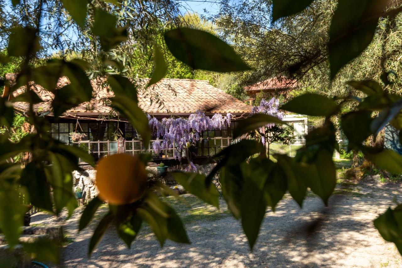 塞洛里库迪巴什图 Chale Da Quinta "Lavoura Da Bouca - Fruta Bio"旅馆 外观 照片