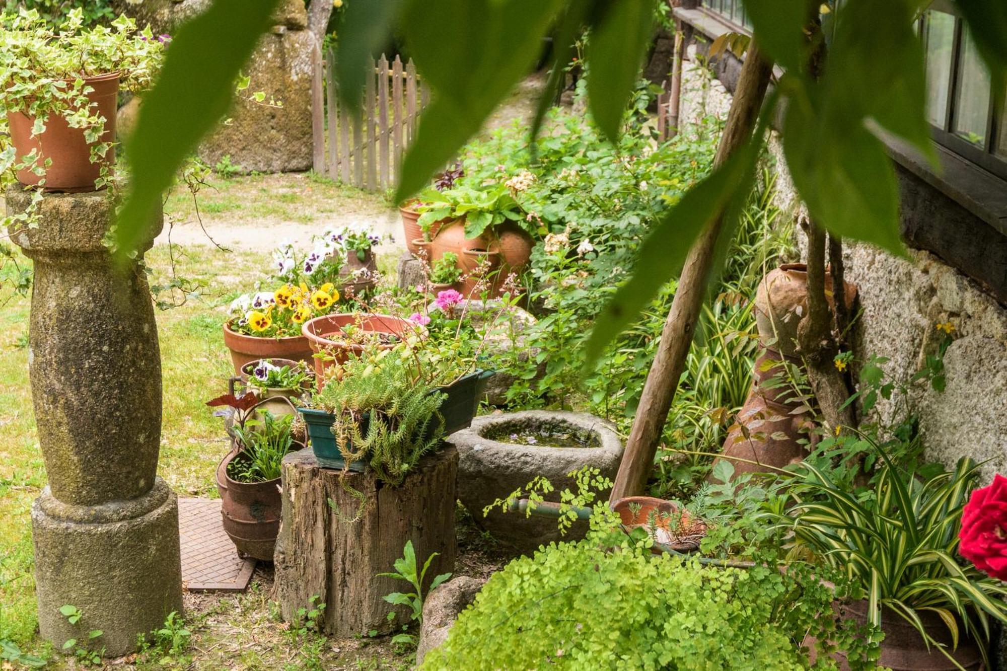 塞洛里库迪巴什图 Chale Da Quinta "Lavoura Da Bouca - Fruta Bio"旅馆 外观 照片